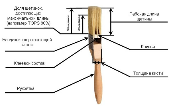 устройство флейцевой кисти